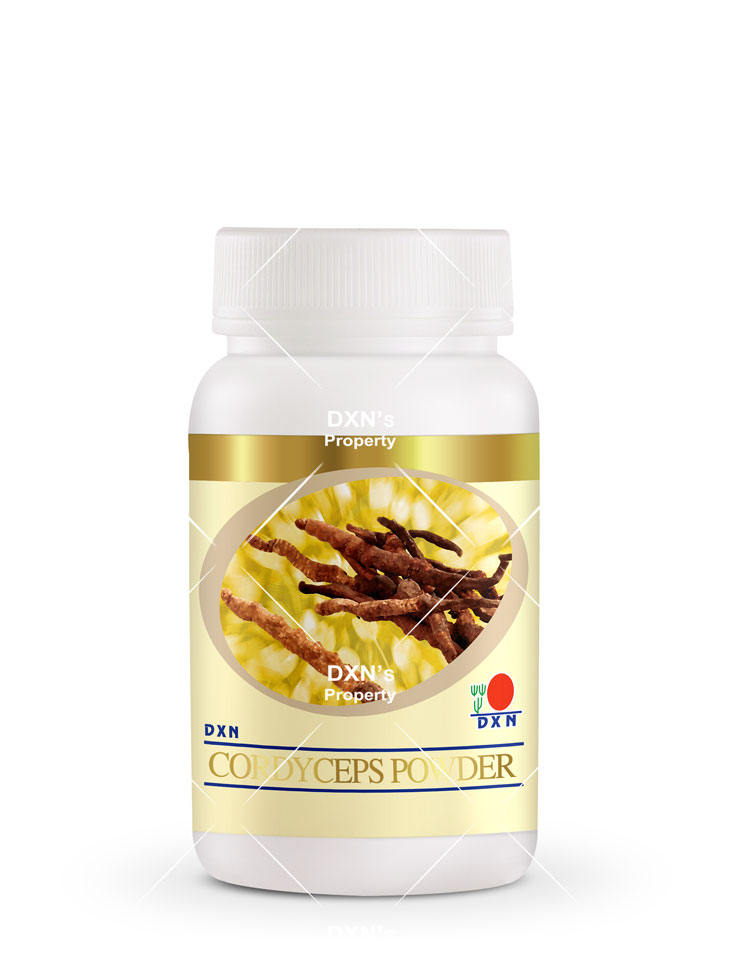 Cordyceps Powder