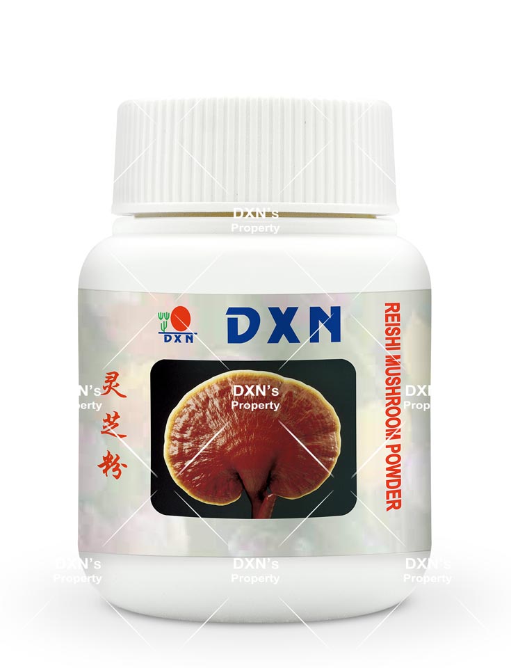 Polvo de Hongo Reishi 70 g